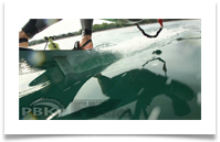 Flysurfer Speed 3 21m Flyboards Flyrace Lightwinds Canada USA