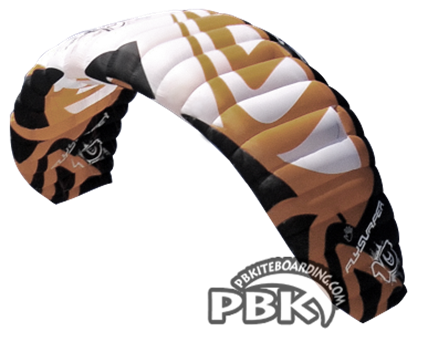 Flysurfer Unity Kiteboarding Snowkiting Kites 10m Deluxe Canada USA Worldwide